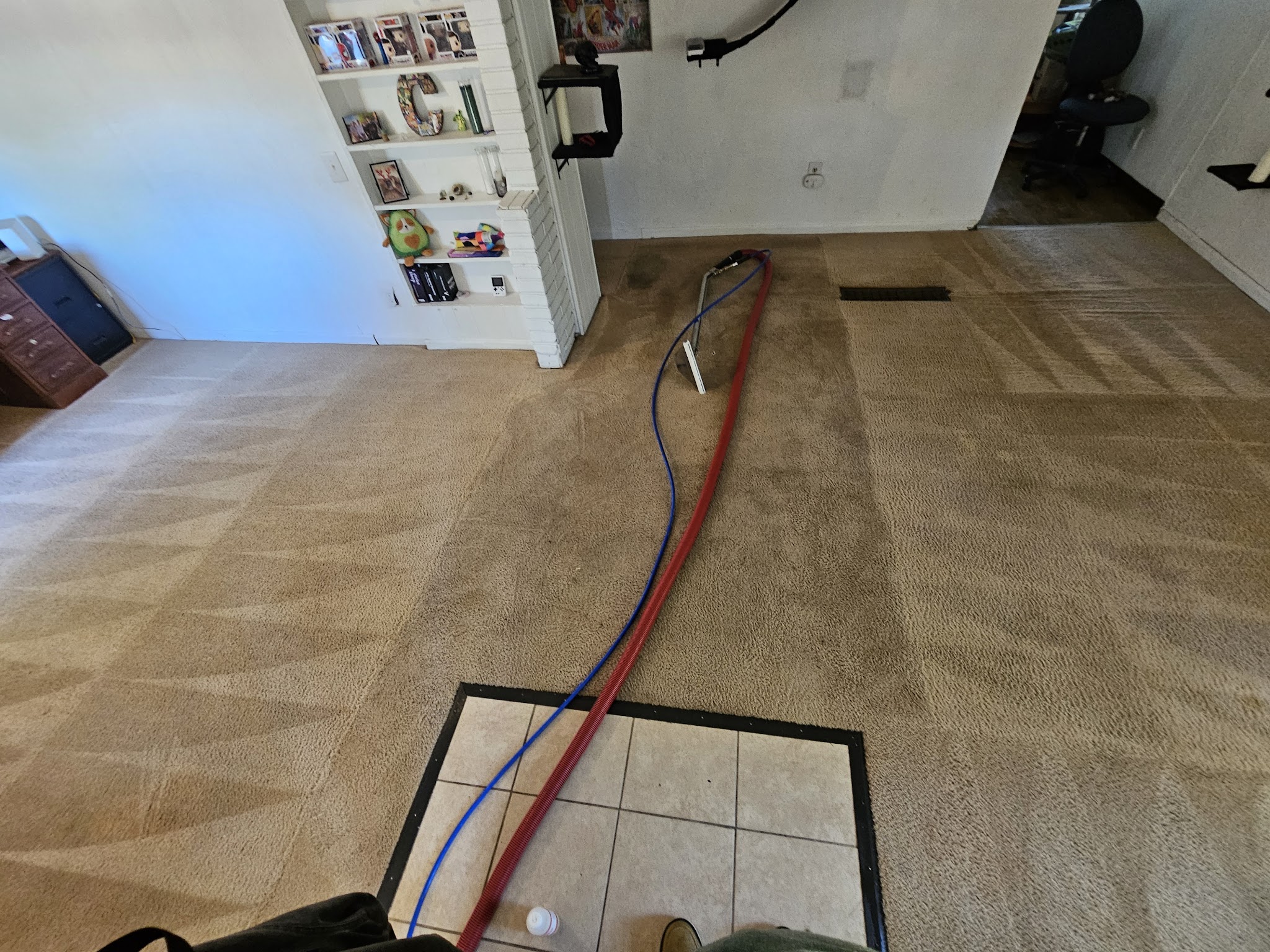 Professional carpet cleaning in Pueblo CO using hot water extraction