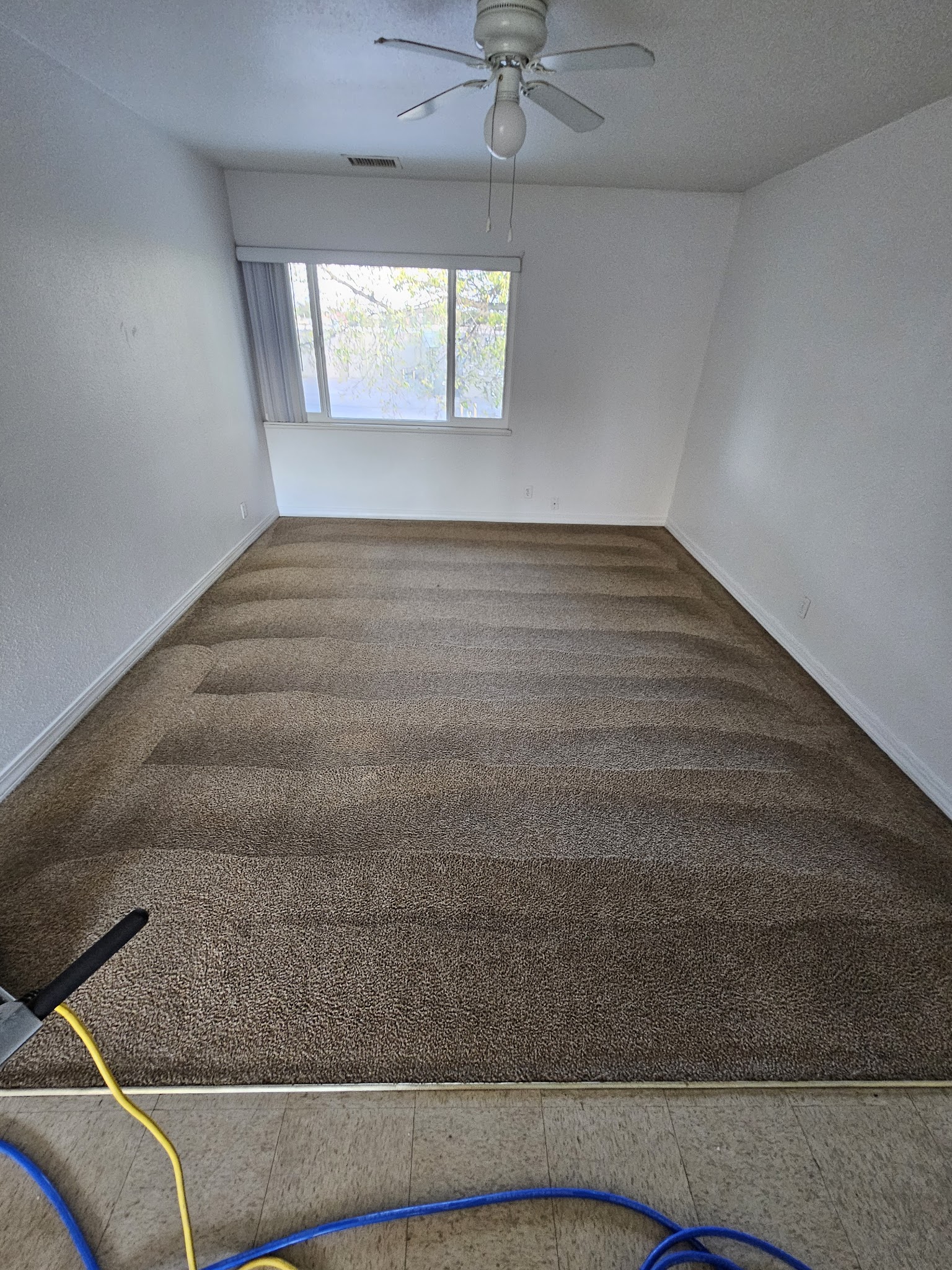 Clean carpet after professional hot water extraction Pueblo CO
