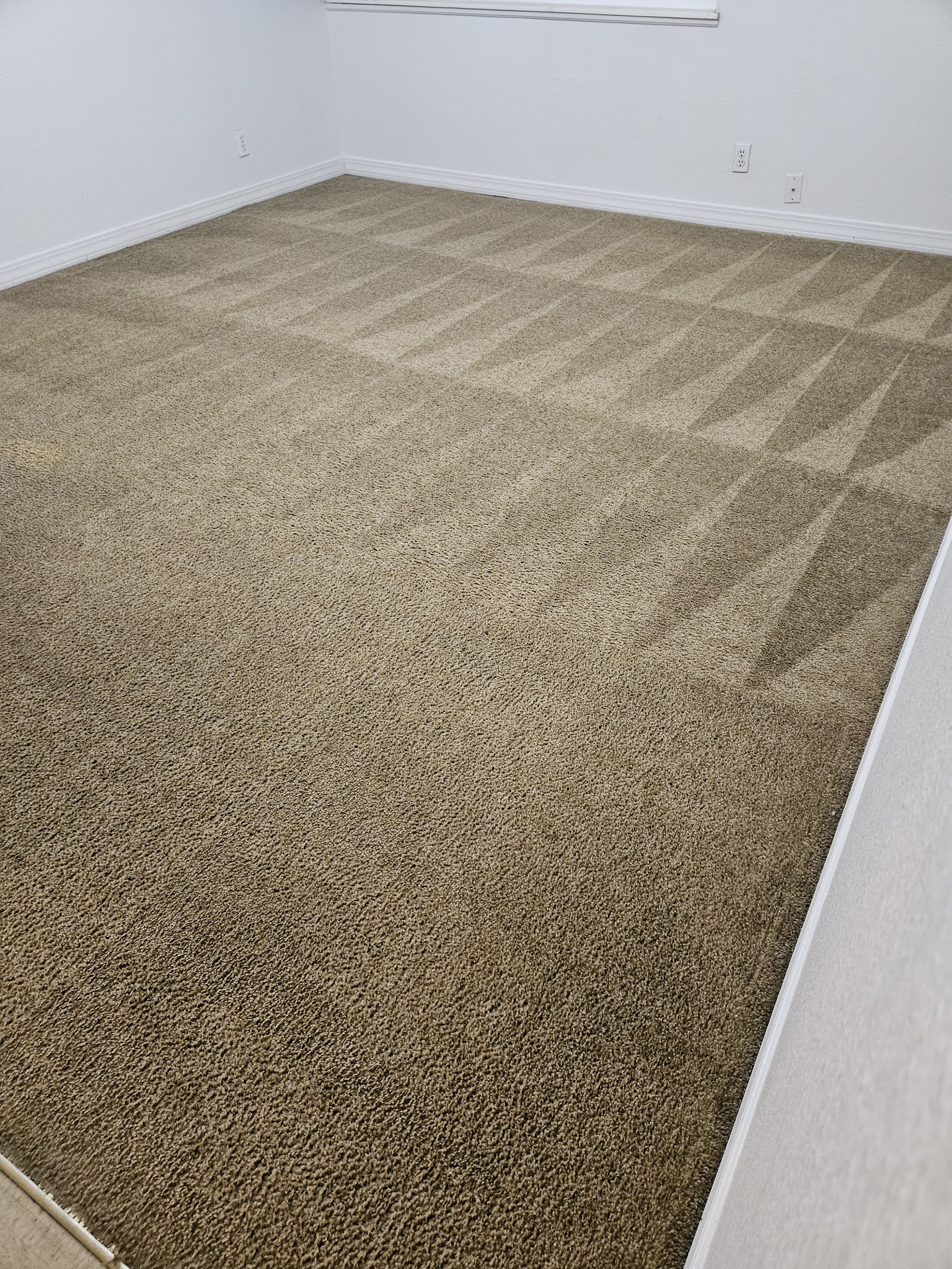 Clean bedroom carpet after hot water extraction Pueblo CO