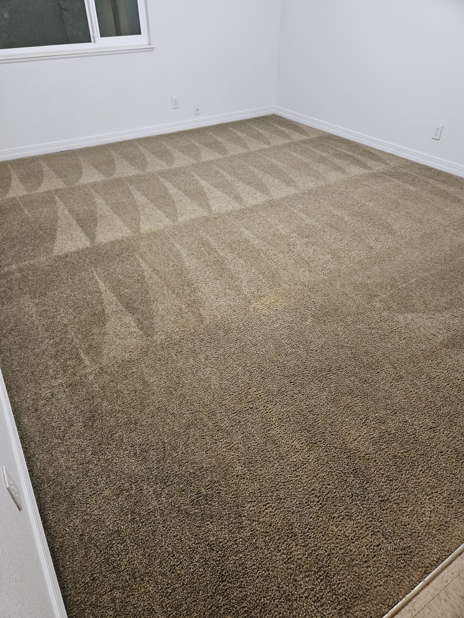 Fresh clean carpet after All Floors Pueblo professional service