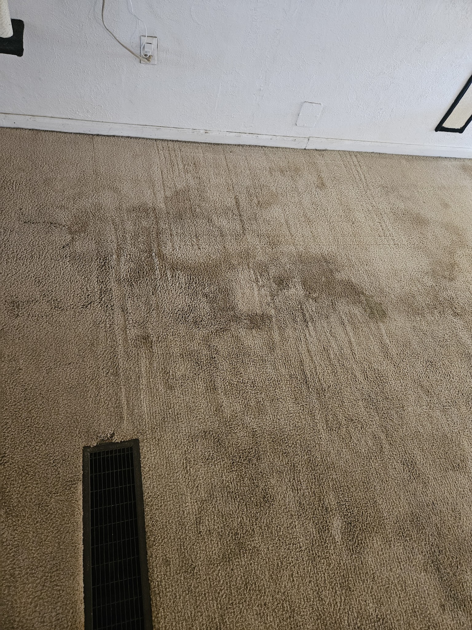 Severely pet stained carpet before odor treatment Pueblo CO